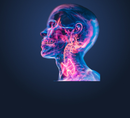 prev_img