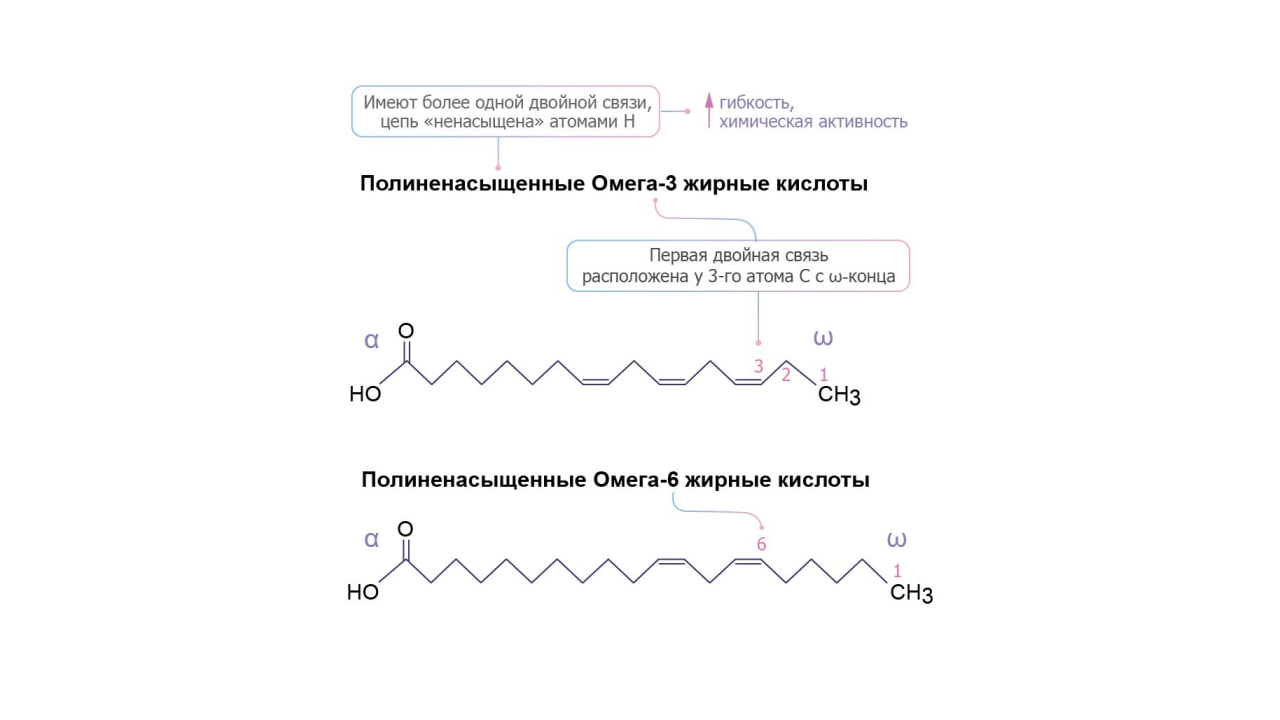 Таблица 1.jpg Таблица 1.jpg