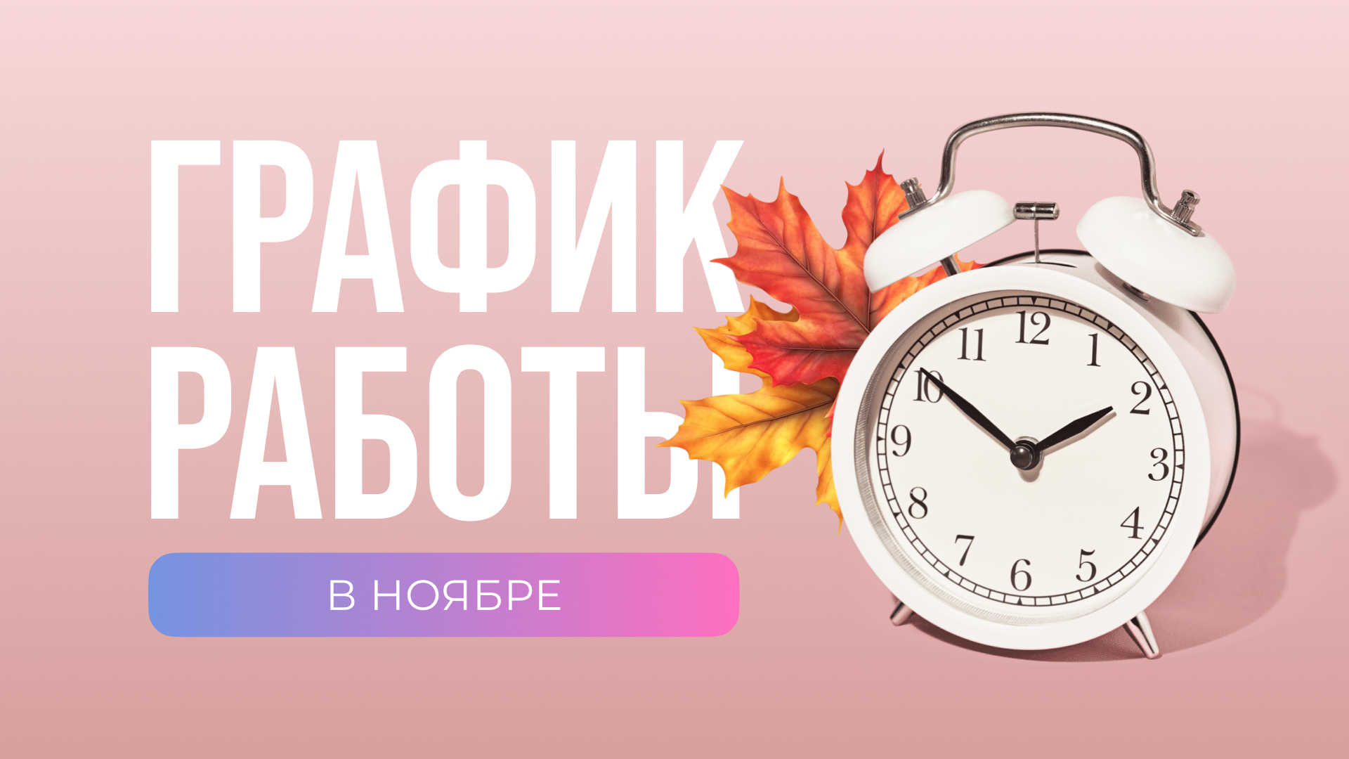 1920x1080 (15).jpg 1920x1080 (15).jpg