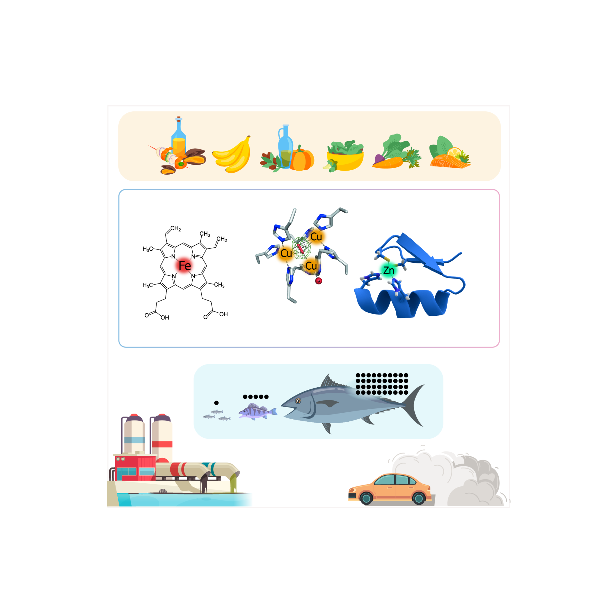 micro_illustr_05.11.png micro_illustr_05.11.png