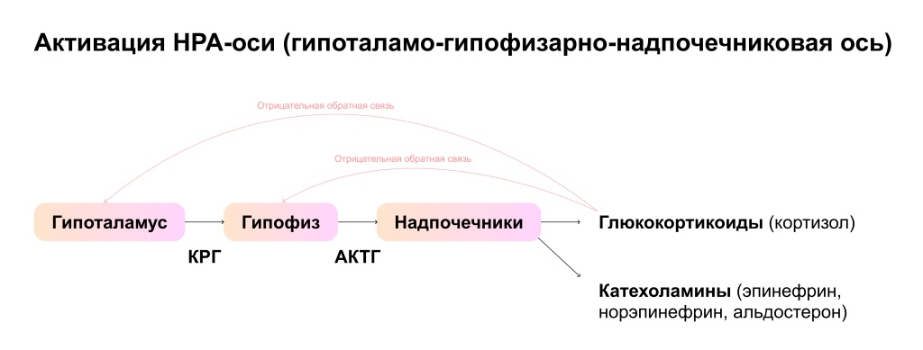 Схемы-46.jpg